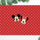 Mickey and Minnie party invite